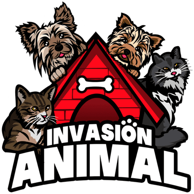 Invasión Animal